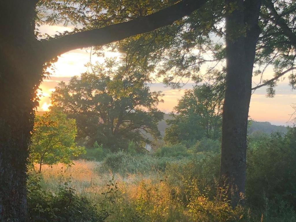 Domaine La Faix, Gite La Forestiere Saint-Plaisir Экстерьер фото