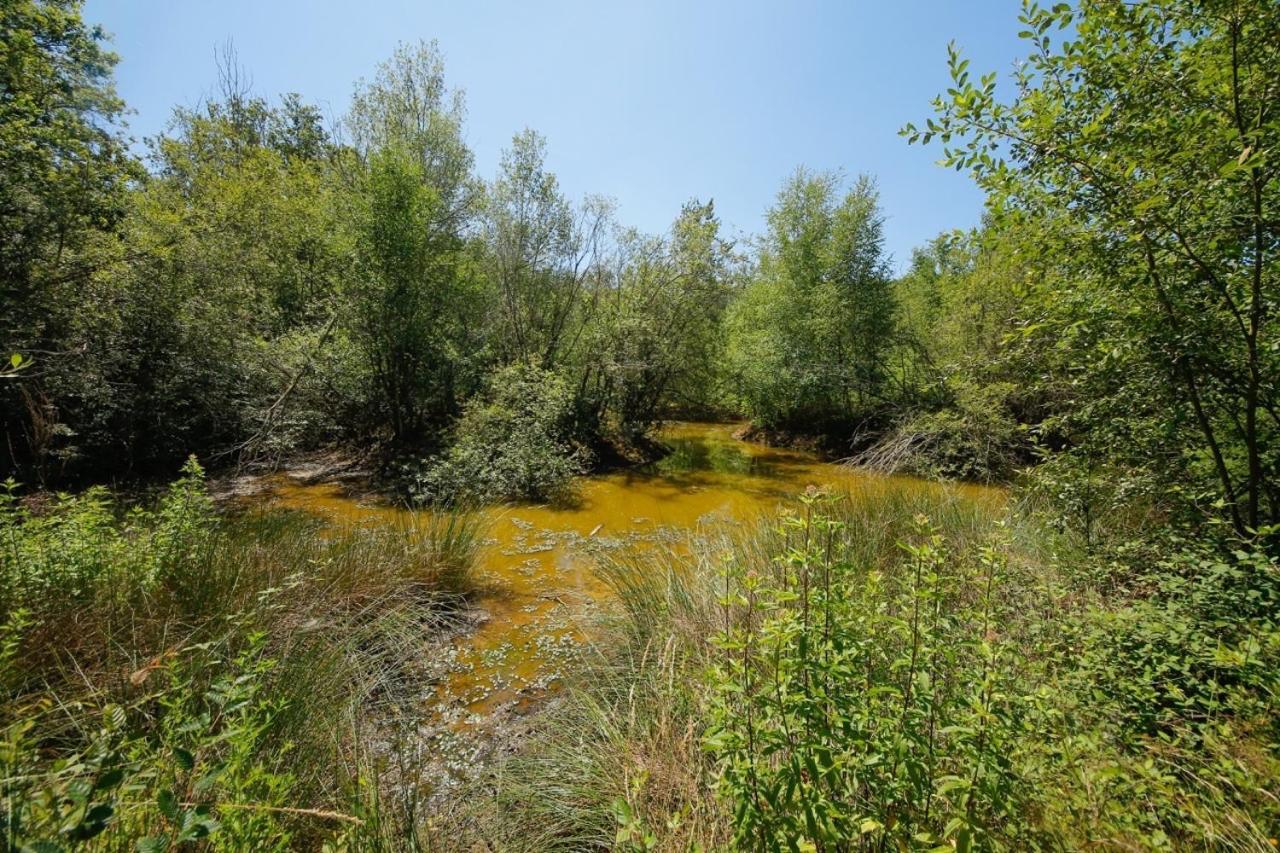 Domaine La Faix, Gite La Forestiere Saint-Plaisir Экстерьер фото