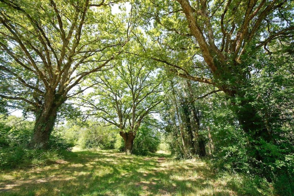 Domaine La Faix, Gite La Forestiere Saint-Plaisir Экстерьер фото